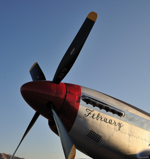 February P-51D by jetguy1 on Flickr.More Airplanes here.