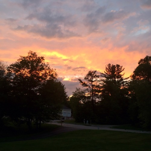 myphotoqraphy:  And of course, some shots. Best pictures don’t need any editing