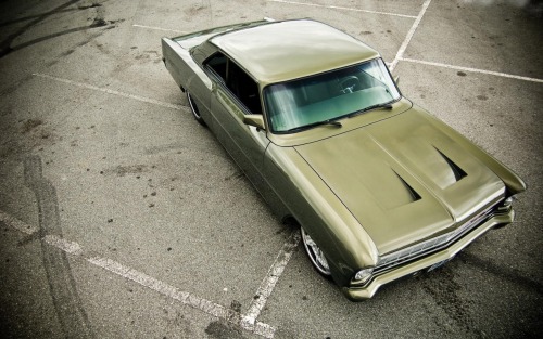 Muscle Cars Fans