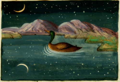 nobrashfestivity: Unknown, illustration from The Anvār-i Suhaylī or Lights of Canopus, Iran 19th cen