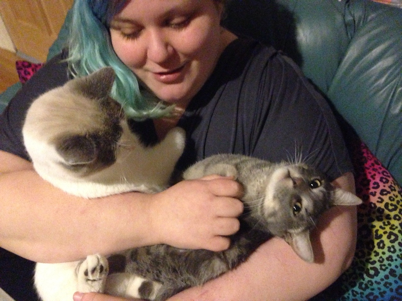 sapphicfaery:kittyit:hi, my name is kitty &amp; i use it or they pronouns. these