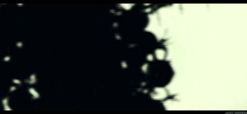 justjaaaay:Nigh is the time of madness and disdain. - The Witcher 3: Wild Hunt Intro