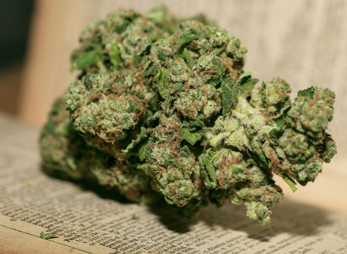 majorkuts:  big bud from back when i smoked. 