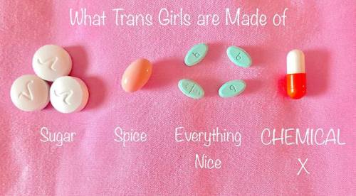 elierlick: Thus, The Trans Girls were born