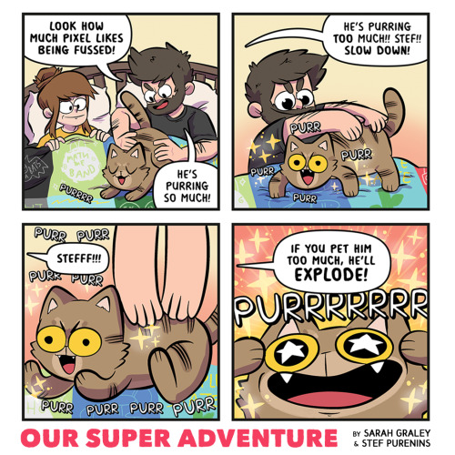 oursuperadventure:Pixel gets fussed, 2021