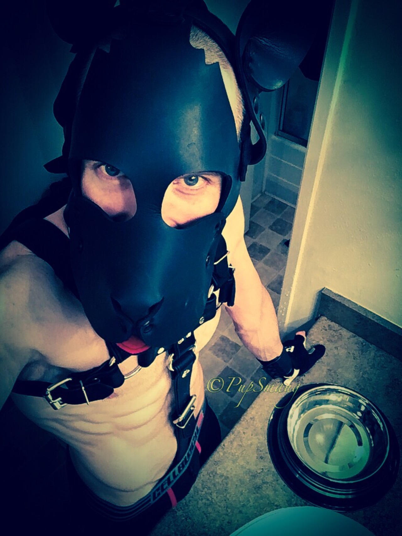 kinkyboyfrance:  pupsmaug:  🐶Arooo. Pup having a great new year. Wags to all my
