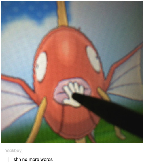 i-have-no-gender-only-rage: Tumblr and Pokemon part 4! Part 1 2 3 5 6 7 8 9