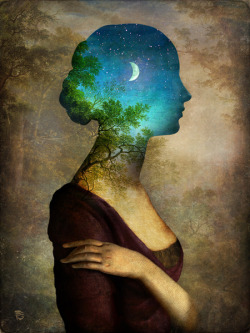 ephemeralintimacy:  victoriousvocabulary:  ESTIVALE [noun] French: summer - the usually warmest season of the year; between Spring and Autumn. Etymology: from Latin aestivalis. [Christian Schloe - A Midsummer Night’s Dream]  That’s not entirely true.