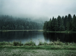 alcyere:  At the lake (by serni)