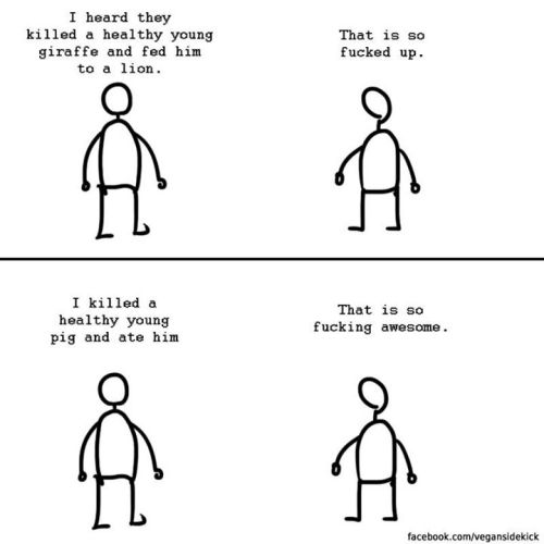 https://www.facebook.com/vegansidekick