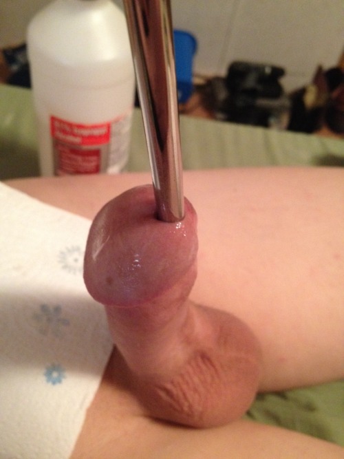 mistressmandie:  Have to keep the little hole stretched out on my little slut! 