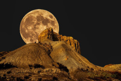 moonipulations:  Luna en el desierto (Desert