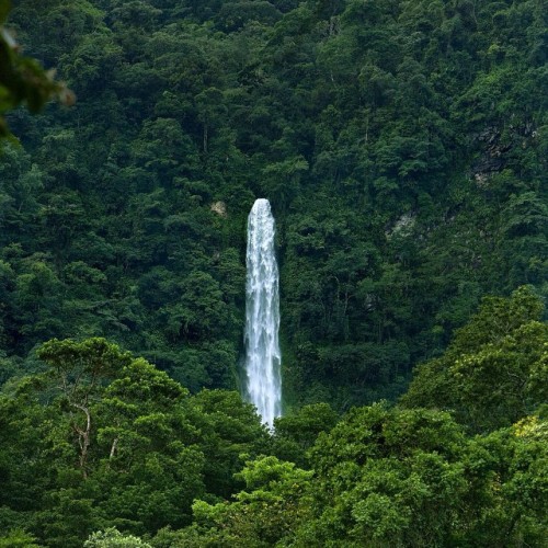 nasque: Honduras: Villas Pico Bonito Lodge & Eco Resort. #honduras #villaspicobonitolodge #trave