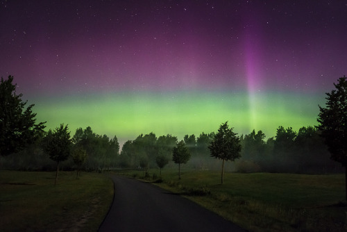 Mikko Lagerstedt