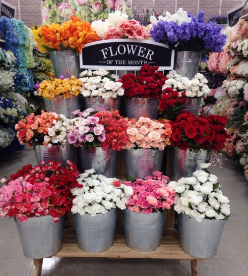 72398: the flower market section at michael’s was mesmerizing