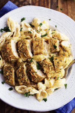 do-not-touch-my-food:    Parmesan Garlic Crusted Chicken with Garlic Alfredo Shells  