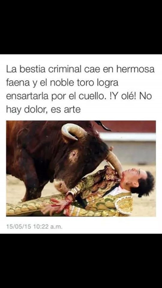 fernandavale03:  Solo es arte 