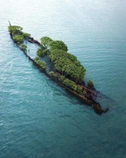 abandonedandurbex:Nature taking over an abandoned ship in Australia. [742x926]