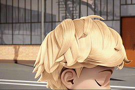 skyeves:  Adrien + Gifts and other stuff from Marinette. 