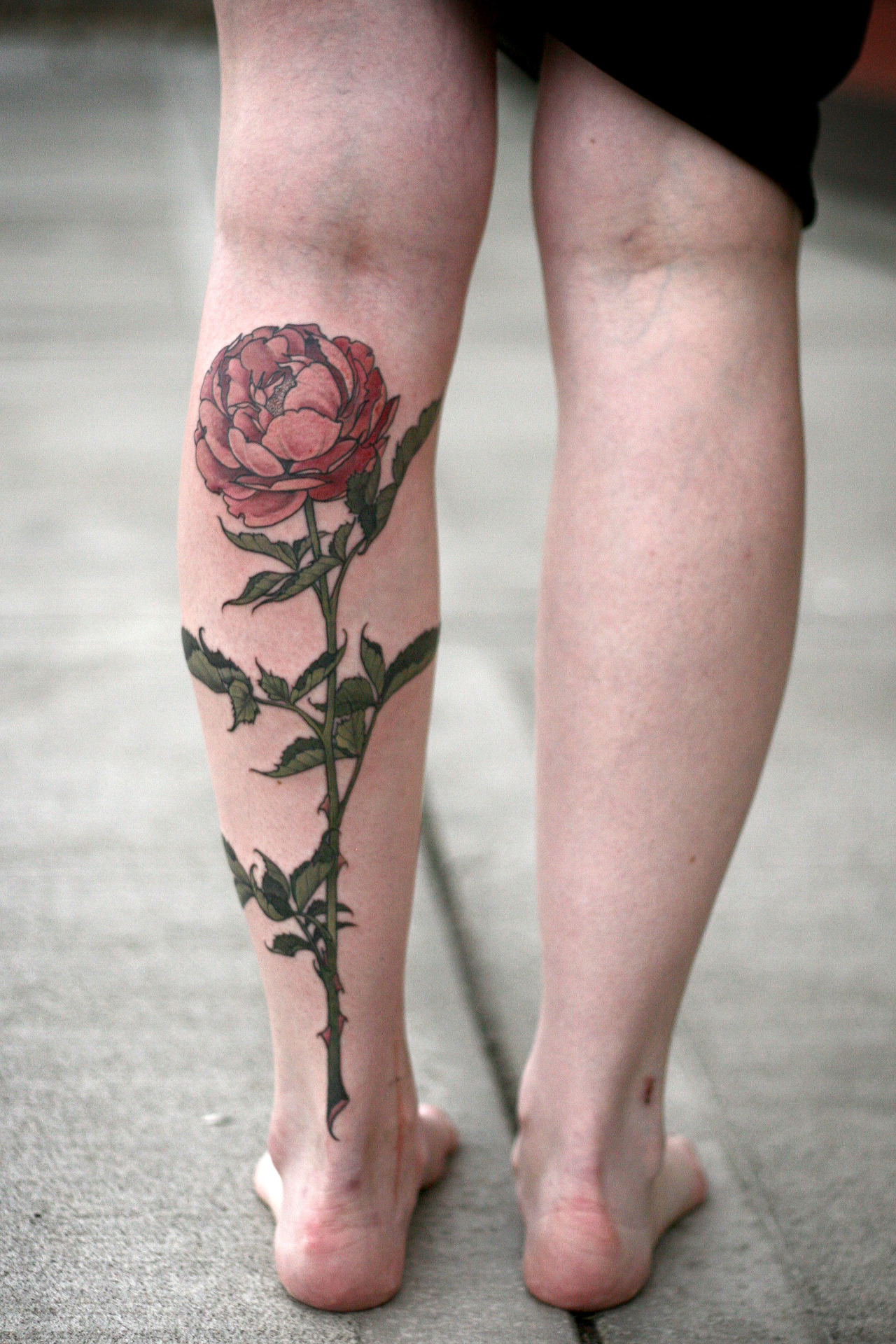 alicecarrier:  Long stemmed garden rose, thanks so much Allison for coming to get