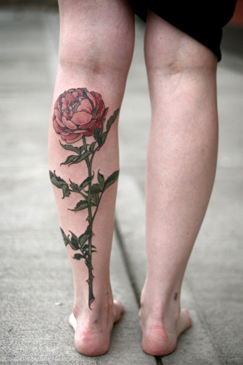 alicecarrier:  Long stemmed garden rose, thanks so much Allison for coming to get this!  Check out her new project, Arc and Ember!  