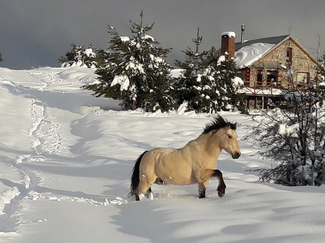 NEVADAS. Imágenes de Villa Meliquina en la provincia de Neuquén, donde se registraron fuertes nevadas en las últimas 48 horas alcanzando los 70 centímetros.Muchos parajes y pueblos quedaron aislados, con suministro eléctrico restringido, rutas...