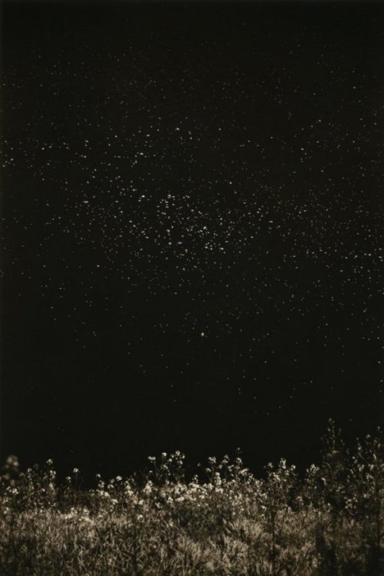 Masao Yamamoto more