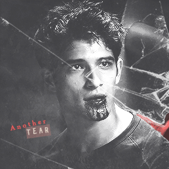 sterec:  Another tear , another cry , another place for us to die. 