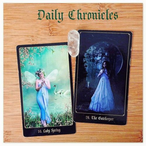 #dailychronicles for November 23rd. All types of new beginnings are highlighted as Lady Spring heral