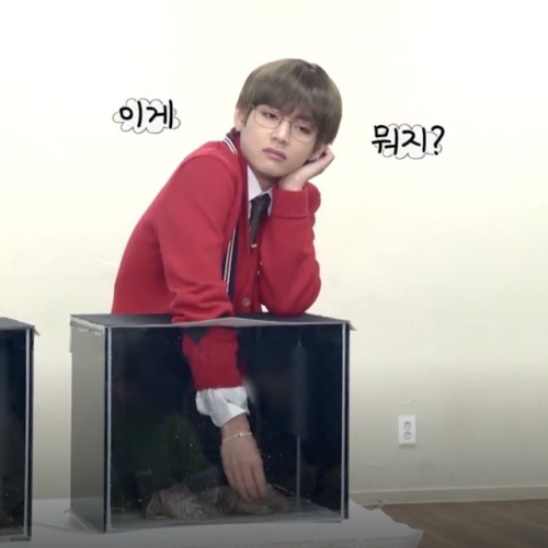 mimibtsghost:LIFE GOAL: BE AS UNBOTHERED AS KIM TAEHYUNG |  JHSMlCDROP