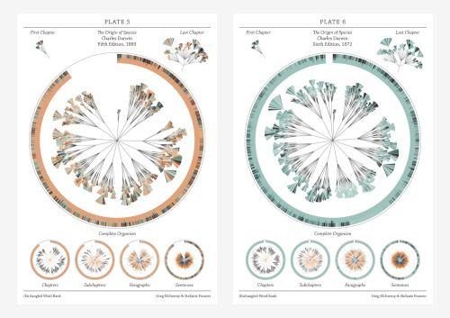 7E Guest Artist Stefanie PosavecStefanie Posavec is an London-based data artist with an MA in Commun