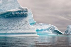 Storyboard:  Exploring The Crystal Desert: Antarctica Through A Photographer’s