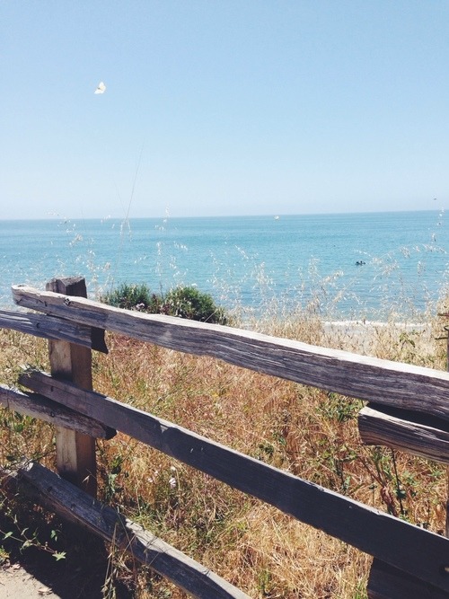 thelovenotebook:  Good Vibes HERE
