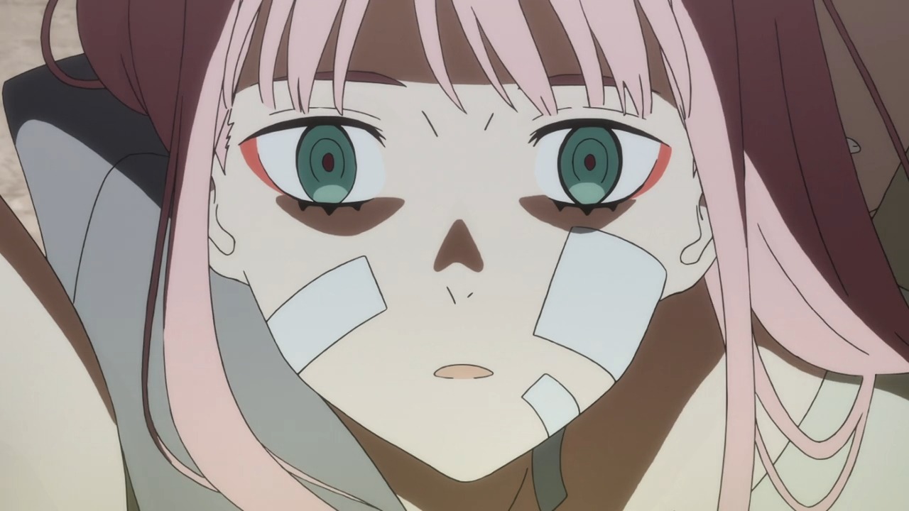 Darling In The Franxx 24