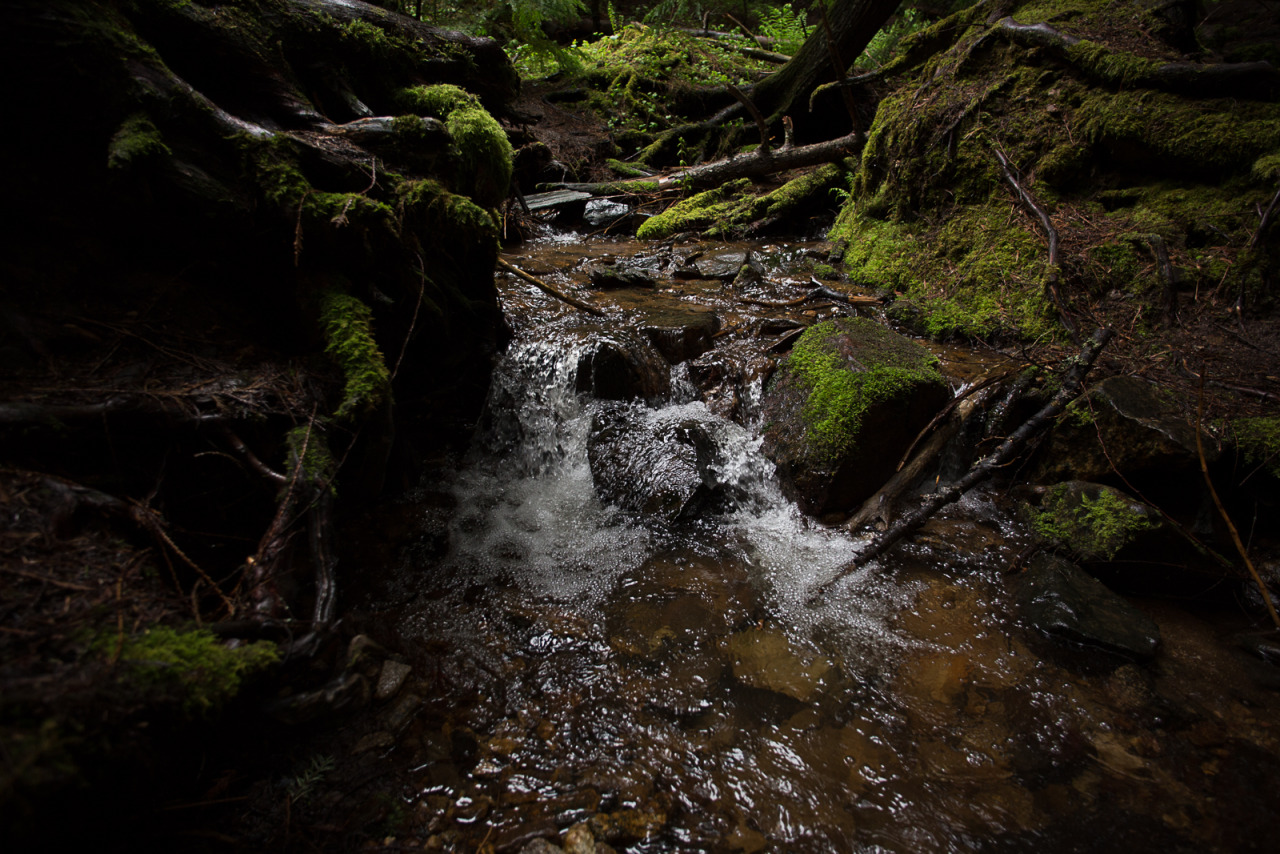 lobo-de-luna:  A little bit of warping but overall Lightroom seems to do a pretty