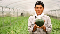 happylittleveganmite:  harvestheart:  Japanese farmer creates the world’s first heart-shaped watermelon en.rocketnews24 HH: Lovely for your Valentine  Um 