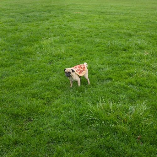 dotbawah.tumblr.com/post/128610321132/
