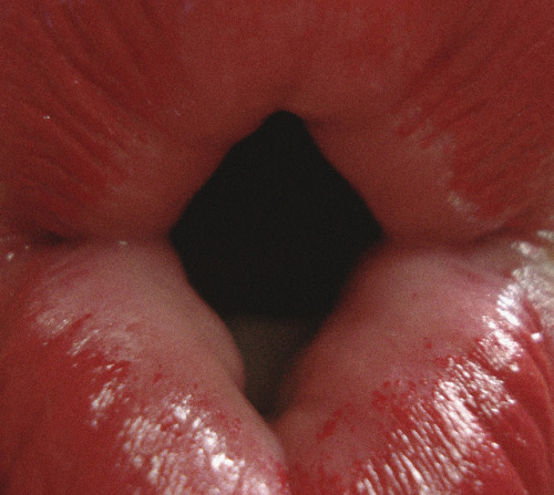 fohk:  untitled by ah, on Flickr.
