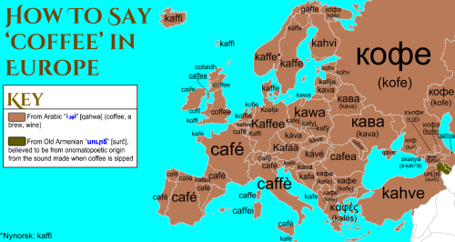 useless-armeniafacts:useless-turkeyfacts:maps-oe:☕ How to say “coffee” in europe, with complete etym