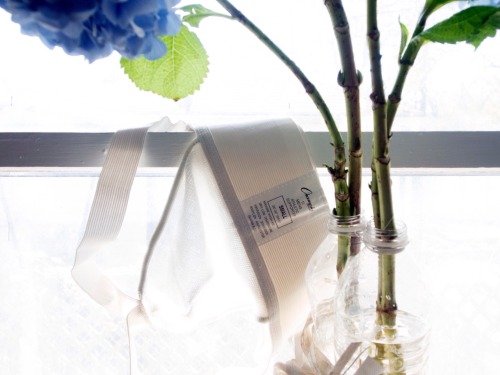 fernando-matehuala:  Fernando Matehuala — Still Life with Hydrangea and Jockstrap 