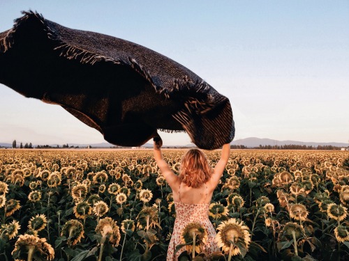 danielodowd:  ioegreer