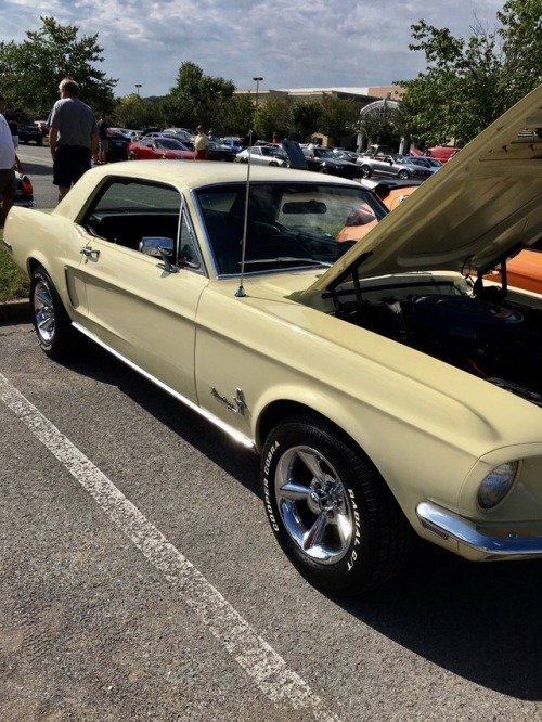 Sweet little 1968 Mustang in factory &ldquo;Meadowlark Yellow&rdquo; with a 289 and a Cruise-O-Matic