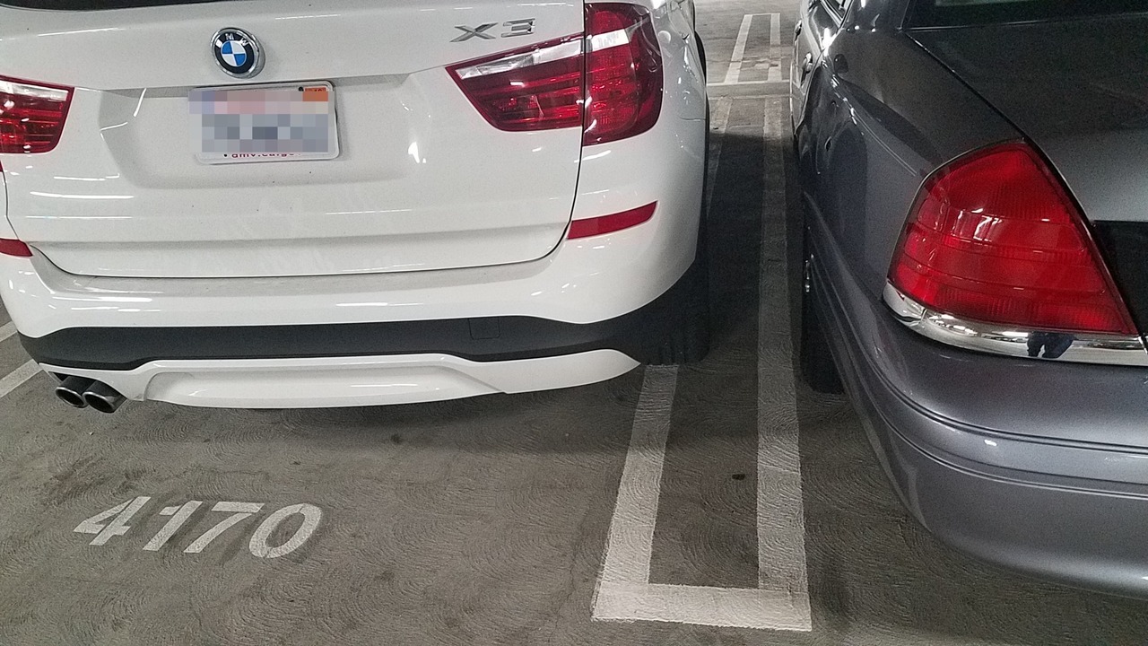 nice parking ass hole