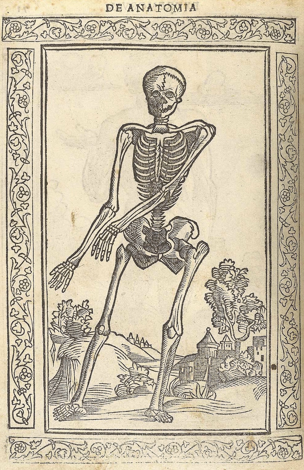 magictransistor:  Jacopo Berengario da Carpi, Isagogae Breues (Beneditcus Hector),