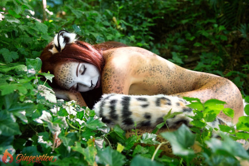 transformationfavourites:  Gingerotica - Frisky Kitties  