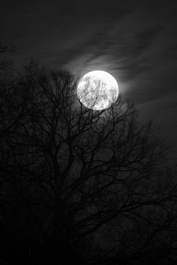 Slobbering Darkness