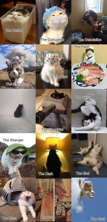 blondaime:The 15 entities but as cats. Yeah. 