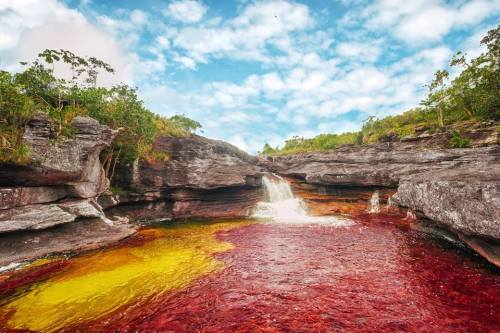 Caño Cristales- Liquid RainbowThe Caño Cristales is a fast flowing river located in the Colombian pr