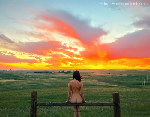 newdaynewbackyard: Sunset outside a truck stop in Cheyenne, Wyoming. July 14, 2016.