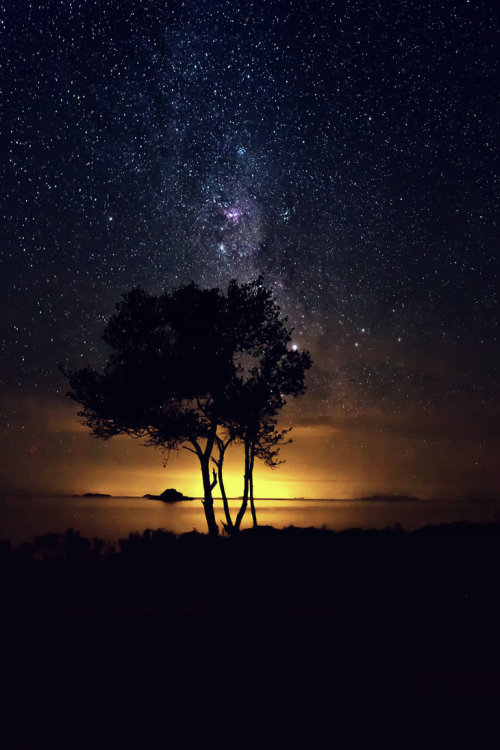 jollyrogers777:  Just gaze and wonder. ..